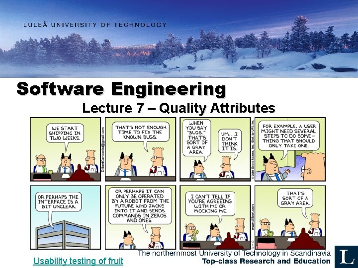 Software Engineering Lecture 7 – Quality Attributes Usability testing of fruit 