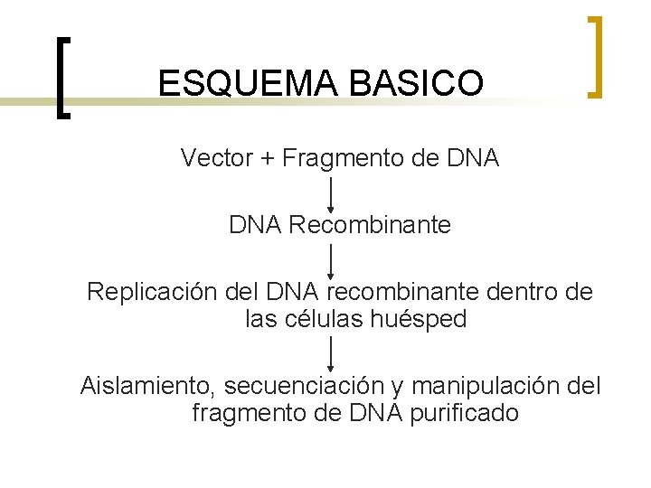 ESQUEMA BASICO Vector + Fragmento de DNA Recombinante Replicación del DNA recombinante dentro de