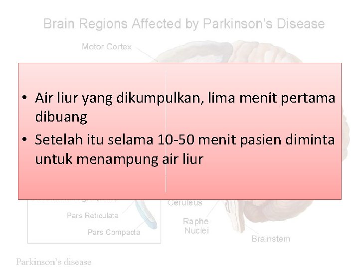  • Air liur yang dikumpulkan, lima menit pertama dibuang • Setelah itu selama