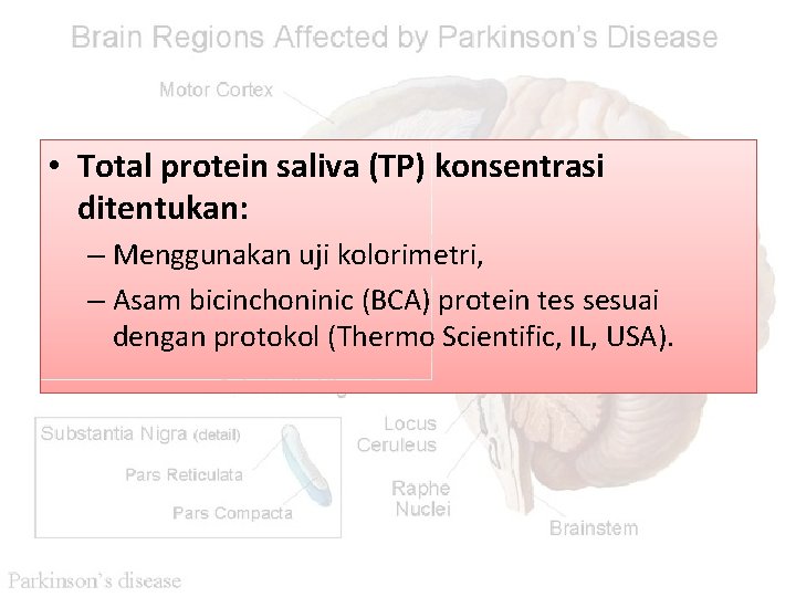  • Total protein saliva (TP) konsentrasi ditentukan: – Menggunakan uji kolorimetri, – Asam