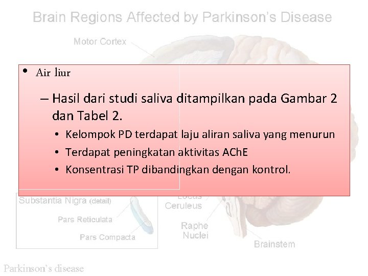  • Air liur – Hasil dari studi saliva ditampilkan pada Gambar 2 dan