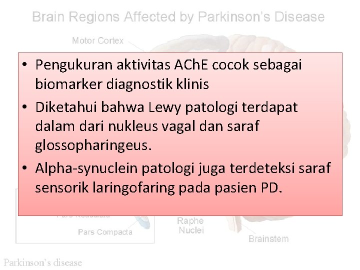  • Pengukuran aktivitas ACh. E cocok sebagai biomarker diagnostik klinis • Diketahui bahwa