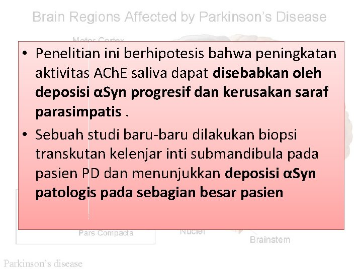  • Penelitian ini berhipotesis bahwa peningkatan aktivitas ACh. E saliva dapat disebabkan oleh