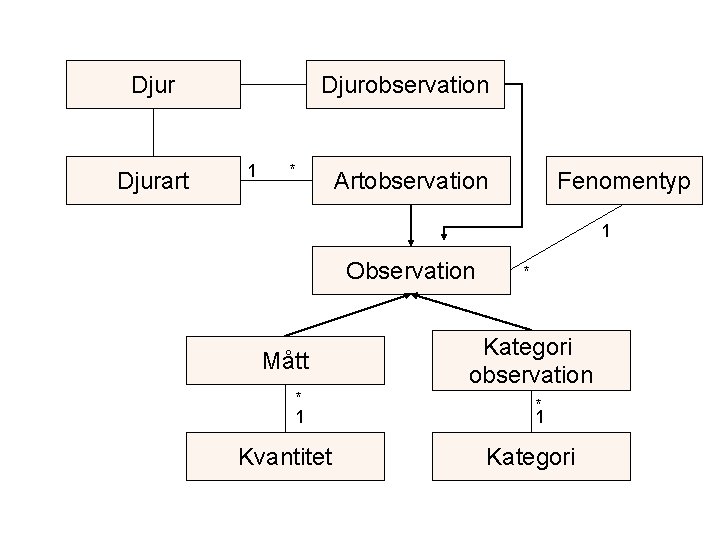 Djurart Djurobservation 1 * Artobservation Fenomentyp 1 Observation Mått * 1 Kvantitet * Kategori