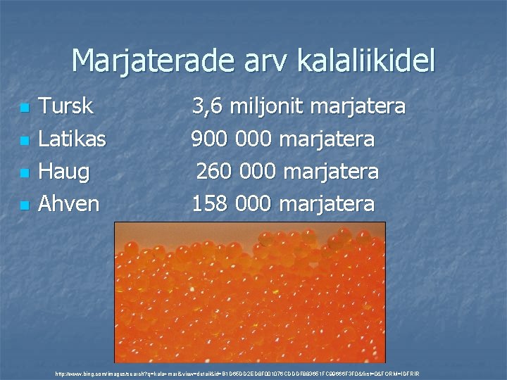 Marjaterade arv kalaliikidel n n Tursk Latikas Haug Ahven 3, 6 miljonit marjatera 900