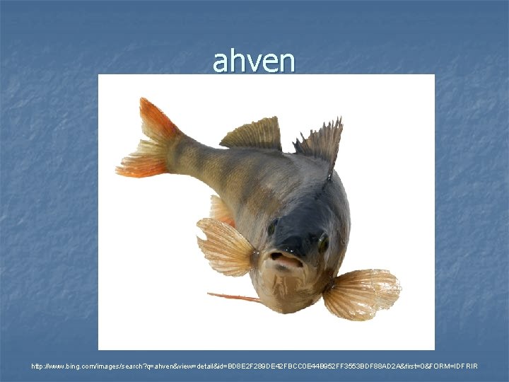 ahven http: //www. bing. com/images/search? q=ahven&view=detail&id=BD 8 E 2 F 289 DE 42 FBCC