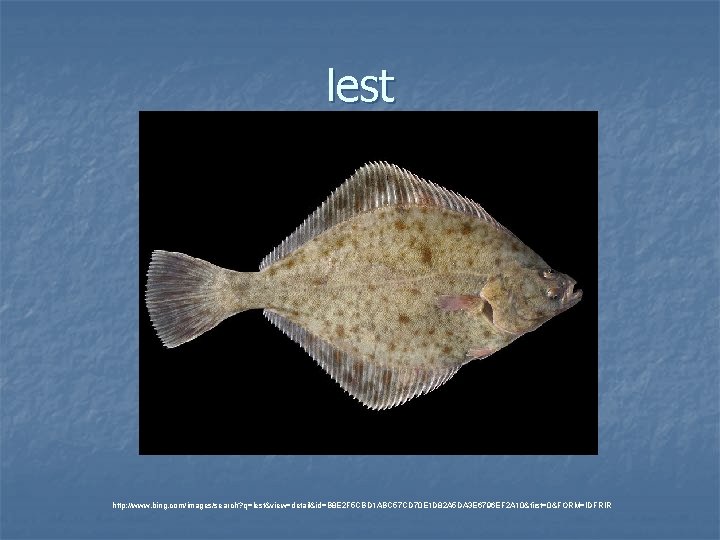 lest http: //www. bing. com/images/search? q=lest&view=detail&id=B 8 E 2 F 5 CBD 1 ABC lest http: //www. bing. com/images/search? q=lest&view=detail&id=B 8 E 2 F 5 CBD 1 ABC