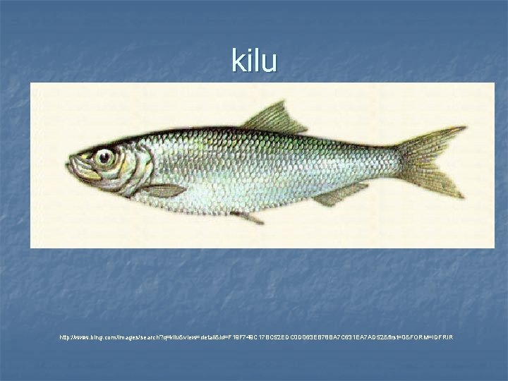 kilu http: //www. bing. com/images/search? q=kilu&view=detail&id=F 19 F 749 C 17 BC 52 EDC