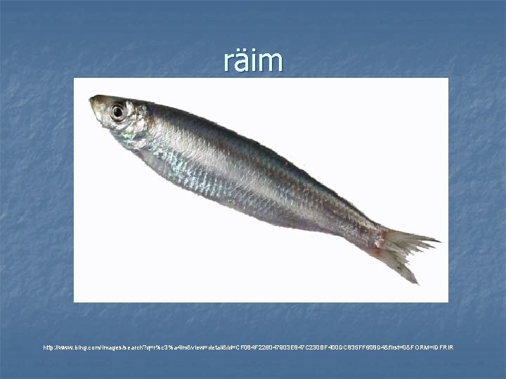 räim http: //www. bing. com/images/search? q=r%c 3%a 4 im&view=detail&id=CF 084 F 226047903 E 847