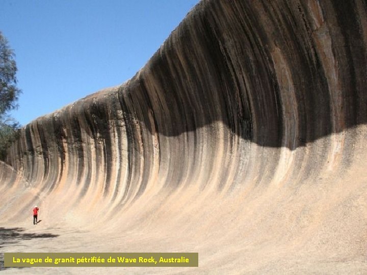 La vague de granit pétrifiée de Wave Rock, Australie 