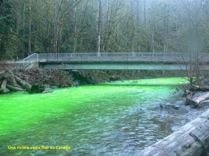 Une rivière verte fluo au Canada 