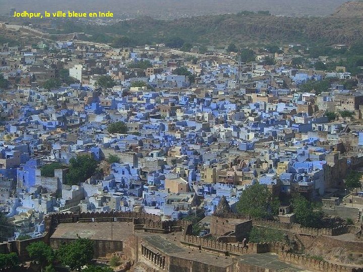 Jodhpur, la ville bleue en Inde 