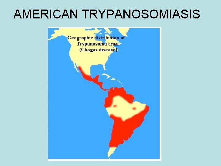 AMERICAN TRYPANOSOMIASIS AMERICAN TRYPANOSOMIASIS