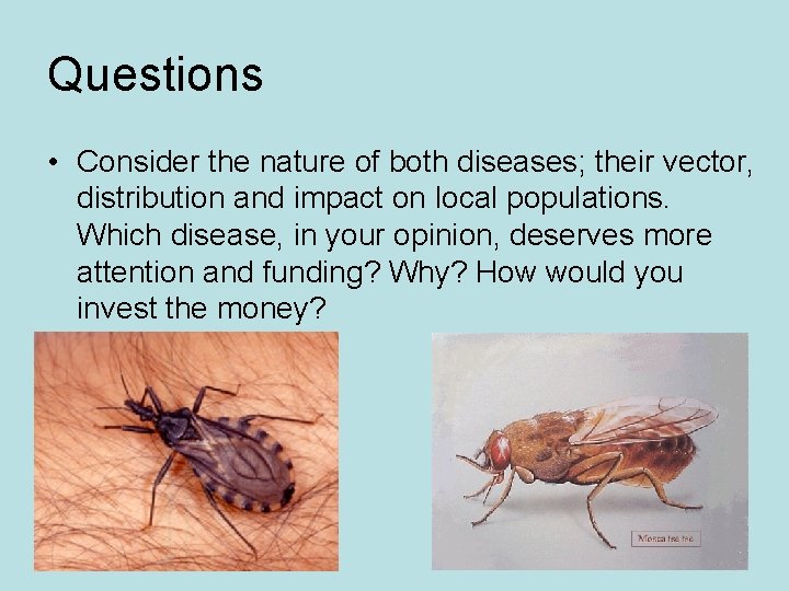 Questions • Consider the nature of both diseases; their vector, distribution and impact on Questions • Consider the nature of both diseases; their vector, distribution and impact on