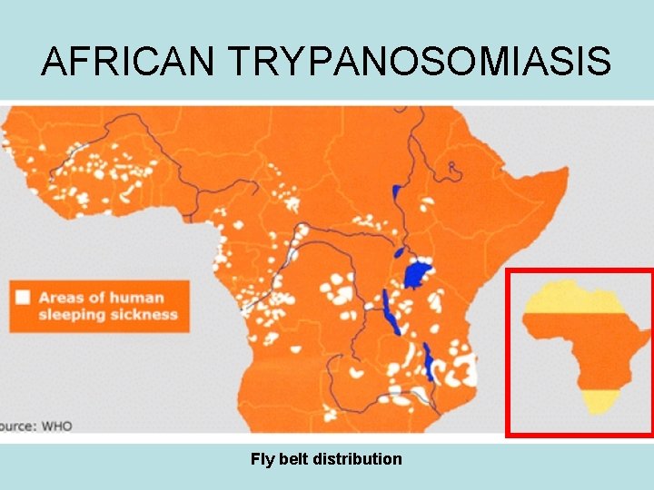 AFRICAN TRYPANOSOMIASIS Fly belt distribution AFRICAN TRYPANOSOMIASIS Fly belt distribution