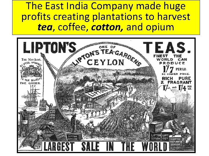 The East India Company made huge profits creating plantations to harvest tea, coffee, cotton,