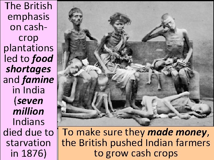 The British emphasis on cashcrop plantations led to food shortages and famine in India