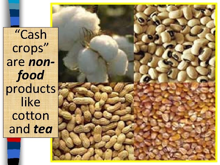 “Cash crops” are nonfood products like cotton and tea 