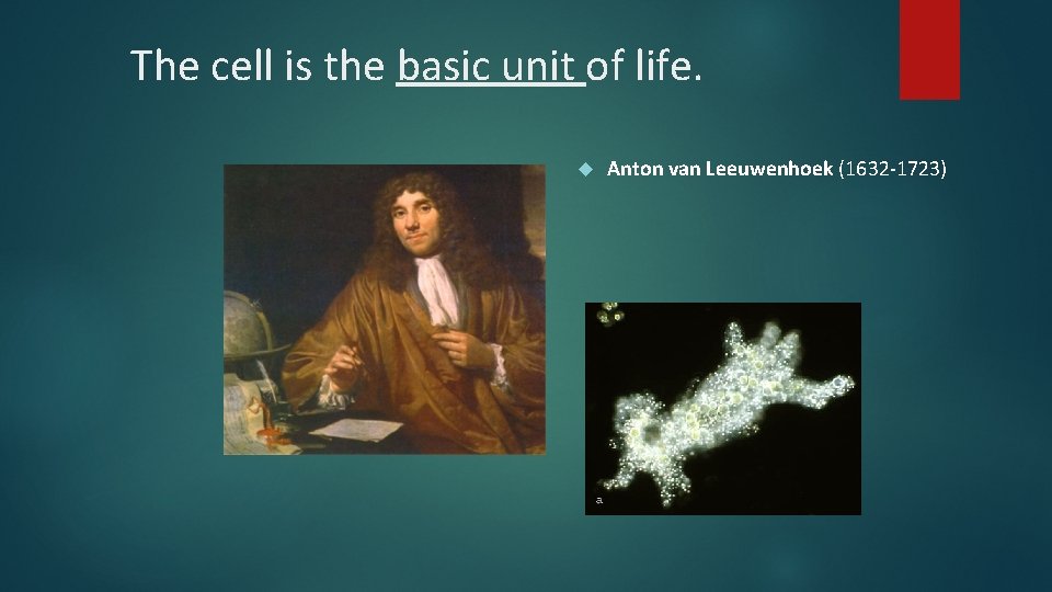 The cell is the basic unit of life. Anton van Leeuwenhoek (1632 -1723) 