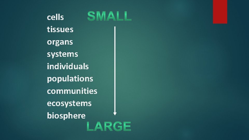 cells tissues organs systems individuals populations communities ecosystems biosphere 