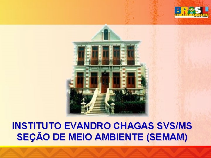 INSTITUTO EVANDRO CHAGAS SVS/MS SEÇÃO DE MEIO AMBIENTE (SEMAM) 