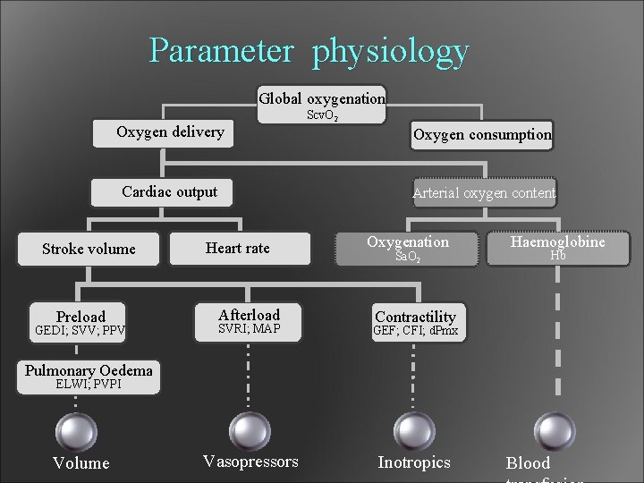 Parameter physiology Global oxygenation Oxygen delivery Cardiac output Stroke volume Preload GEDI; SVV; PPV