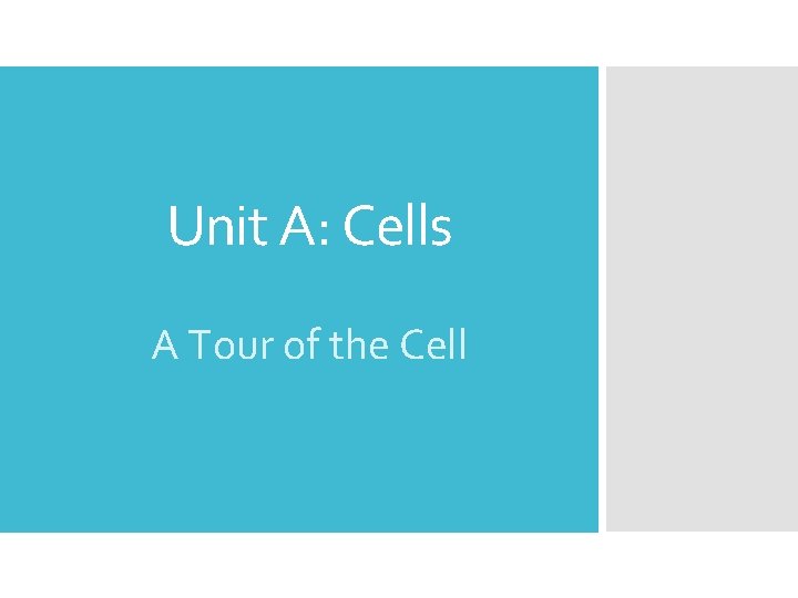 Unit A: Cells A Tour of the Cell 