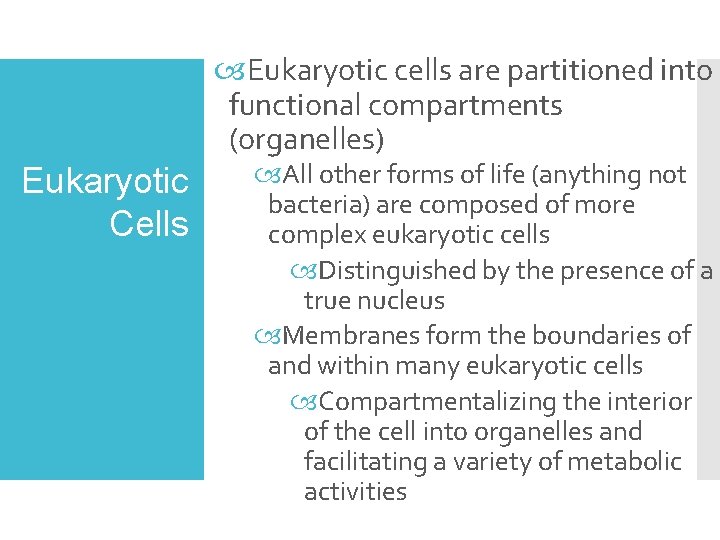  Eukaryotic cells are partitioned into functional compartments (organelles) Eukaryotic Cells All other forms