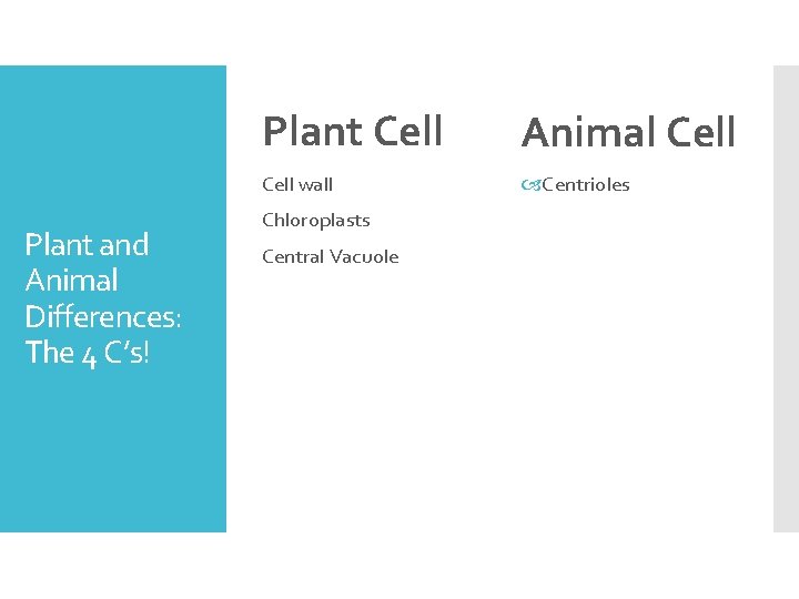 Plant and Animal Differences: The 4 C’s! Plant Cell Animal Cell wall Centrioles Chloroplasts
