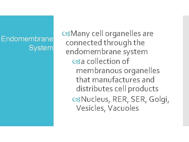  Many cell organelles are Endomembrane connected through the System endomembrane system a collection