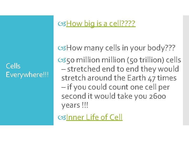  How big is a cell? ? Cells Everywhere!!! How many cells in your