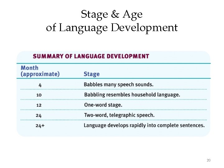 Stage & Age of Language Development 20 