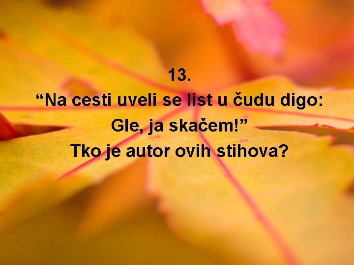 13. “Na cesti uveli se list u čudu digo: Gle, ja skačem!” Tko je