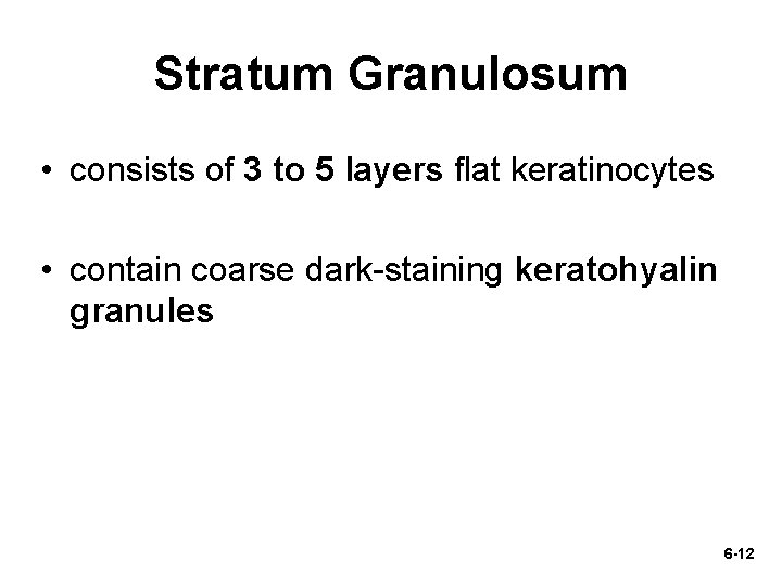Stratum Granulosum • consists of 3 to 5 layers flat keratinocytes • contain coarse