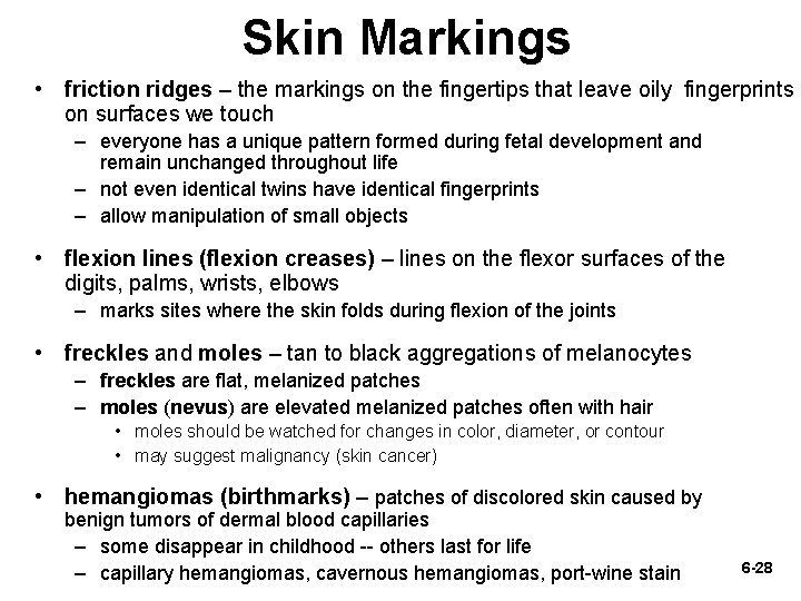 Skin Markings • friction ridges – the markings on the fingertips that leave oily