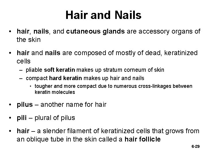 Hair and Nails • hair, nails, and cutaneous glands are accessory organs of the