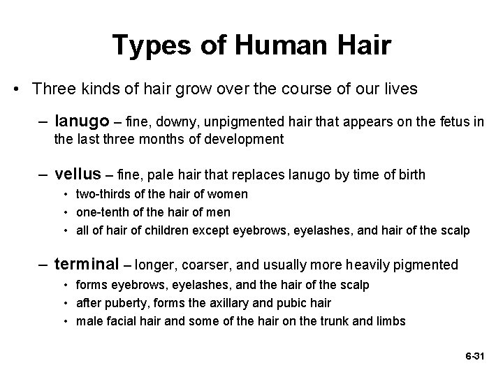 Types of Human Hair • Three kinds of hair grow over the course of