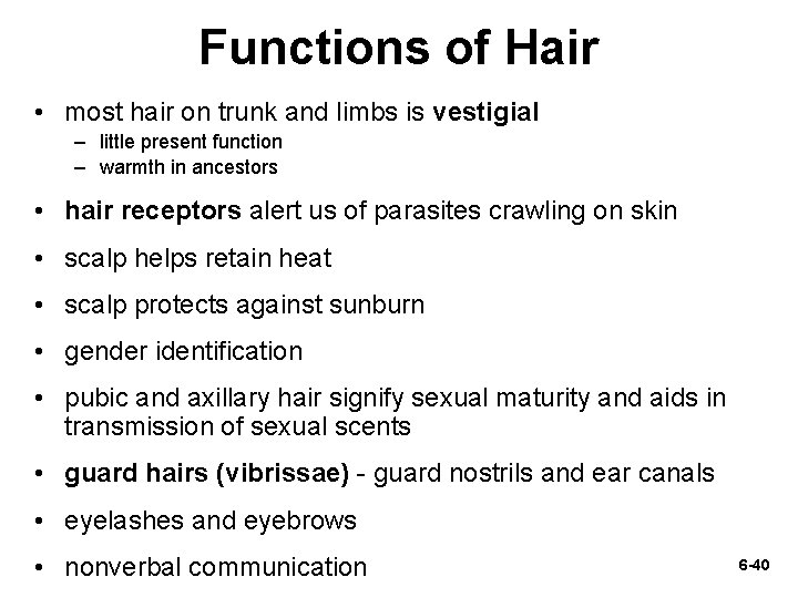 Functions of Hair • most hair on trunk and limbs is vestigial – little