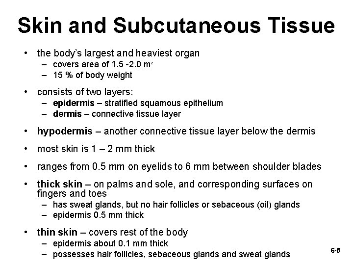 Skin and Subcutaneous Tissue • the body’s largest and heaviest organ – covers area