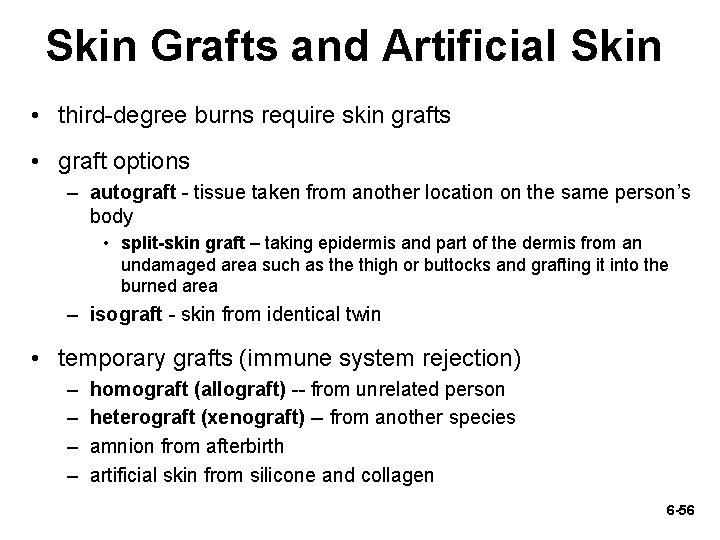 Skin Grafts and Artificial Skin • third-degree burns require skin grafts • graft options