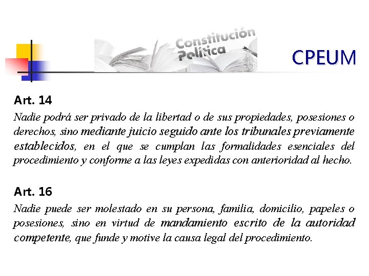 CPEUM Art. 14 Nadie podrá ser privado de la libertad o de sus propiedades,
