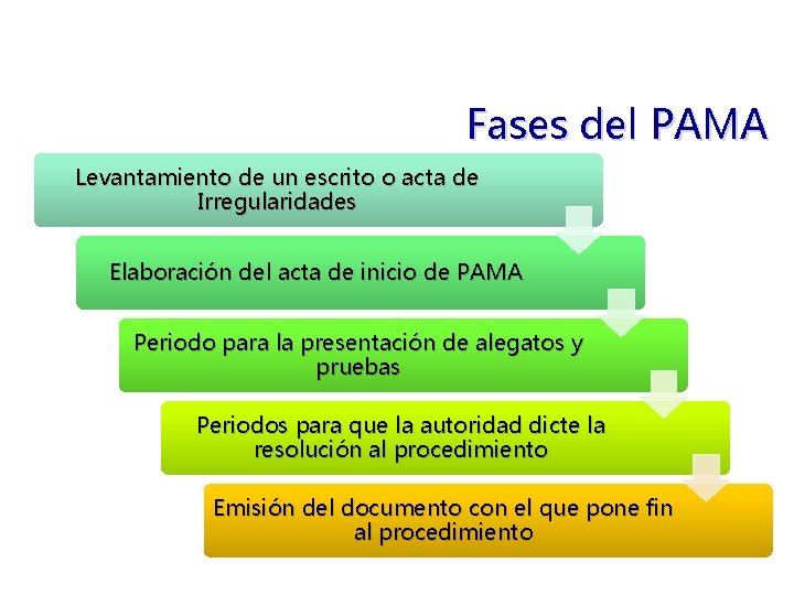 Fases del PAMA Levantamiento de un escrito o acta de Irregularidades Elaboración del acta