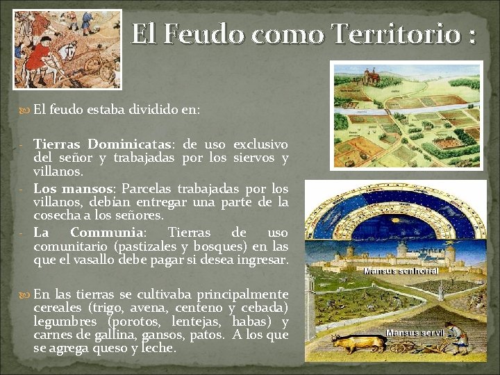 El Feudo como Territorio : El feudo estaba dividido en: - Tierras Dominicatas: de