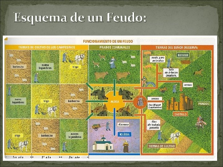 Esquema de un Feudo: 