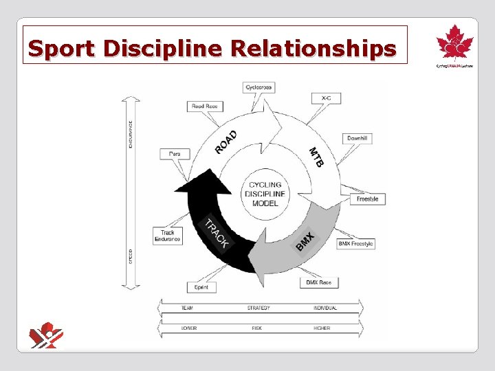 Sport Discipline Relationships 