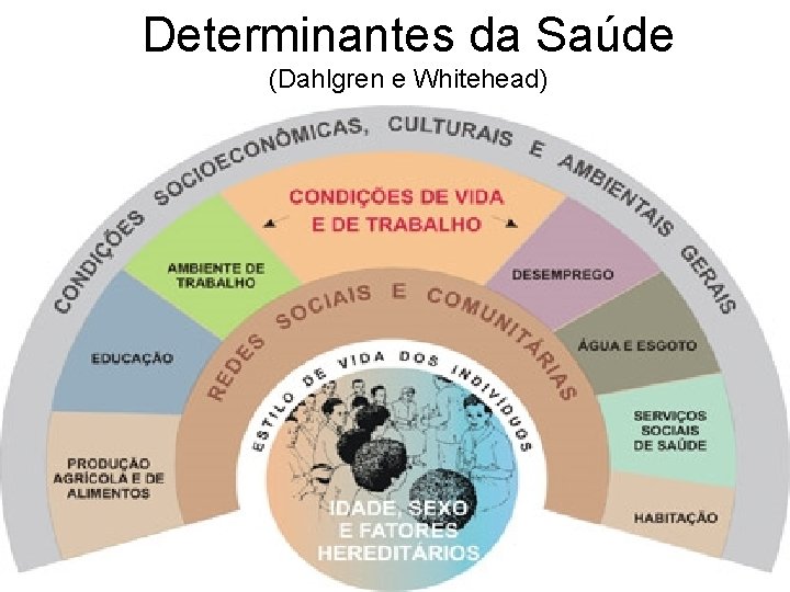 Determinantes da Saúde (Dahlgren e Whitehead) 