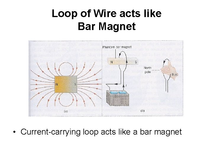 Loop of Wire acts like Bar Magnet • Current-carrying loop acts like a bar
