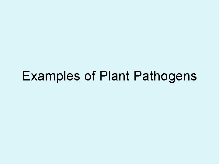 Examples of Plant Pathogens 