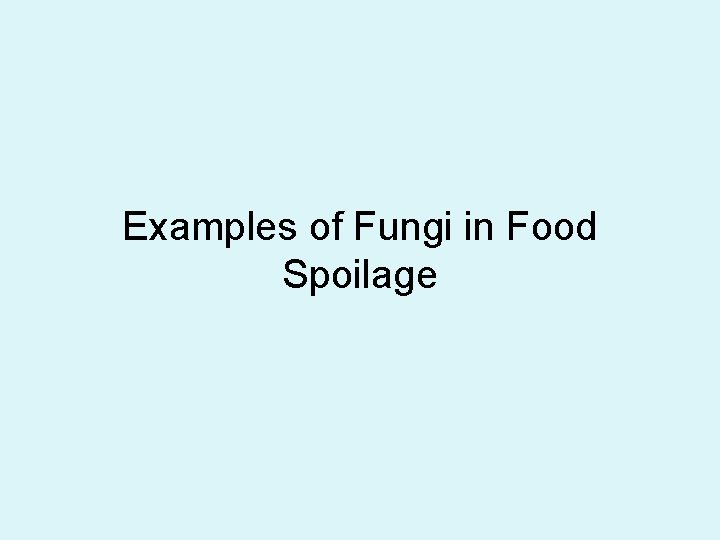 Examples of Fungi in Food Spoilage 
