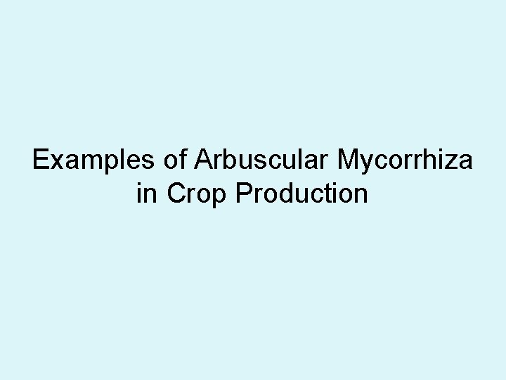 Examples of Arbuscular Mycorrhiza in Crop Production 